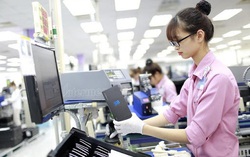 Doanh nghiệp được tạm dừng đóng BHXH, quyền lợi của người lao động bị ảnh hưởng thế nào?