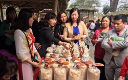 Trồng nấm giúp hạn chế đốt rơm rạ và bảo vệ môi trường