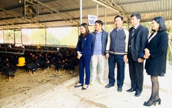"3 sạch" thay đổi cuộc sống phụ nữ vùng cao Yên Bái