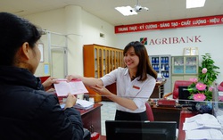 167 nghìn khách hàng được cơ cấu, cho vay mới với dư nợ gần 63 nghìn tỷ đồng