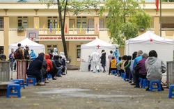 Hàng trăm người xếp hàng chờ test nhanh Covid-19 có kết quả trong 10 phút