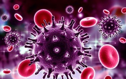 Tất cả những điều cần biết về HIV/AIDS