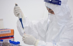 Loại test nhanh Hà Nội đang triển khai đại trà có phù hợp không?