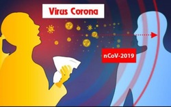 Doanh nghiệp kinh doanh bảo hiểm Covid-19 đã phớt lờ cảnh báo và quy định?