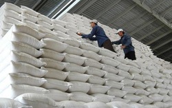 5 nhà thầu hủy gói cung cấp gạo nhập kho dự trữ quốc gia 
