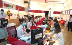 HDBank tài trợ gần 3 tỷ đồng chống xâm lấn hạn mặn ở Đồng bằng sông Cửu Long