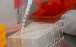 Trung Quốc thử nghiệm thêm 2 loại vaccine Covid-19 trên người