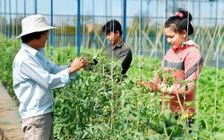 Hà Nội: Nông nghiệp, công nghệ, đầu tư công là mũi nhọn phát triển kinh tế thời Covid-19