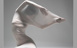 Họa sĩ tự ý chuyển thể tác phẩm ảnh nude của Thái Phiên đã xóa tranh 