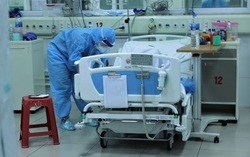 BN 91 có thể phải dùng ECMO từ vài tuần đến vài tháng