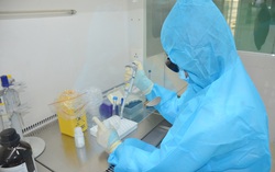 Bộ Y tế xác nhận có 2 ca nhiễm Covid-19 mới, đều là du học sinh từ Nhật Bản trở về