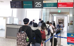300 công dân Việt có hoàn cảnh khó khăn ở Nhật Bản hồi hương