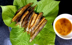 Ngồi giữa thiên nhiên thưởng thức món ngon mang hương vị đồng quê