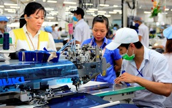 Chủ sử dụng lao động được vay vốn ưu đãi 0% để trả lương ngừng việc cho lao động