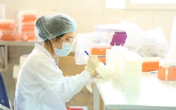 BN 36 ở Bình Thuận tái dương tính với Covid-19