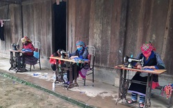 4 ngày may hơn 10 vạn khẩu trang phát miễn phí