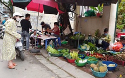 Hạ Long: Người đi chợ quá 2 lần/ngày sẽ bị "bêu tên"