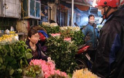 Test nhanh toàn bộ người bán hoa liên quan bệnh nhân 243