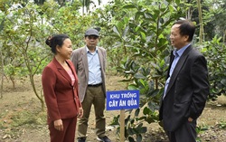 “Vườn nông nghiệp an toàn gắn với gia đình 5 không, 3 sạch” góp phần sản xuất xanh và bền vững