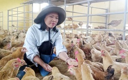 Chủ trang trại làm giàu từ 4 chữ “dám”