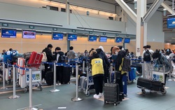 Hơn 270 công dân Việt Nam từ Canada trở về nước an toàn