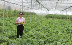 Khởi nghiệp từ nông nghiệp công nghệ cao