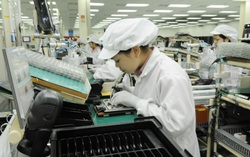 Lao động Việt tại Nhật Bản mất việc được nhận trợ cấp, hỗ trợ đổi việc