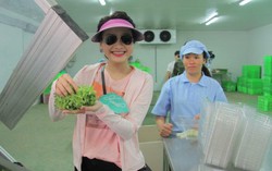 Vân “Sống chung với mẹ chồng” đi xem trồng rau sạch với Tự Long