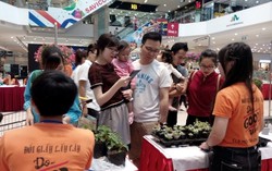 Những người trẻ mang cây xanh đến với cộng đồng