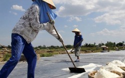 Muối ở Hà Tĩnh trong ngưỡng an toàn 