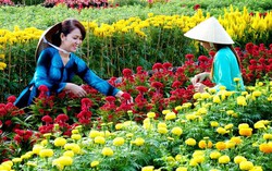 Nơi sắc hoa trở thành phần không thể thiếu trong cuộc sống của chị em phụ nữ