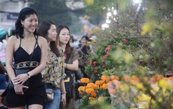 Hoa kiểng tết khoe sắc tại Bến Bình Đông