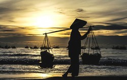 Quan tâm quá hóa hại con