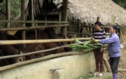 Nơi hội tụ sức mạnh tập thể