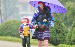 Từ 31/3, miền Bắc mưa dông trở rét 