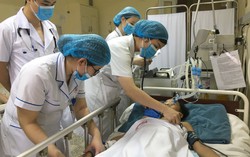 Đi soi cóc, bé 14 tuổi bị rắn cực độc cắn liệt cơ, suy hô hấp nặng