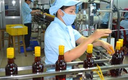 Bộ Khoa học-Công nghệ xin tạm dừng dự thảo tiêu chuẩn về nước mắm