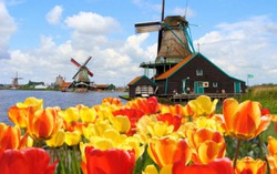 Amsterdam có những ngôi nhà 'ngà ngà say'