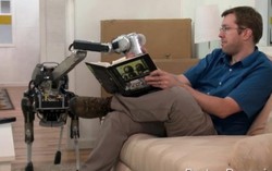 Robot thú cưng giúp việc gia đình siêu dễ thương