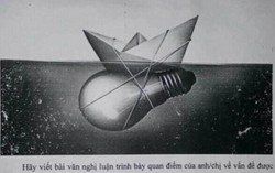 Đề thi HSG Văn tỉnh Bắc Giang: Sáng tạo hay hại não?