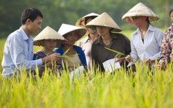 Agribank và TƯ Hội Nông dân Việt Nam tăng cường phối hợp triển khai hiệu quả chính sách 'Tam nông'