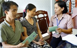 Hơn 420.000 người tham gia bảo hiểm xã hội tự nguyện