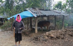 Tây Bắc có tỷ lệ hộ nghèo cao nhất nước