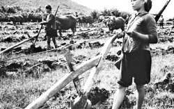 Một số ca khúc nổi tiếng về phong trào 'Ba đảm đang'