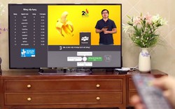 'Mở két' cùng giáo sư Cù Trọng Xoay vào tối thứ 5