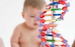 Khám phá sự hình thành gene di truyền ở bé