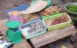 Sự thật về hải sản khô khiến kiến, ruồi không dám bâu