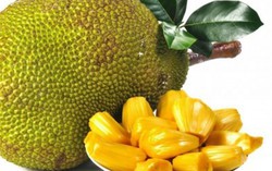 Đổi gió cuối tuần cho gia đình với 'Hội mít Sơn Đông 2019'