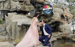 Chuyện ngôn tình xuyên biên giới của Đại sứ Mottainai 2019 Bế Thị Băng