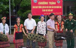 Nghệ An: Nhiều hoạt động thiết thực hỗ trợ phụ nữ biên cương